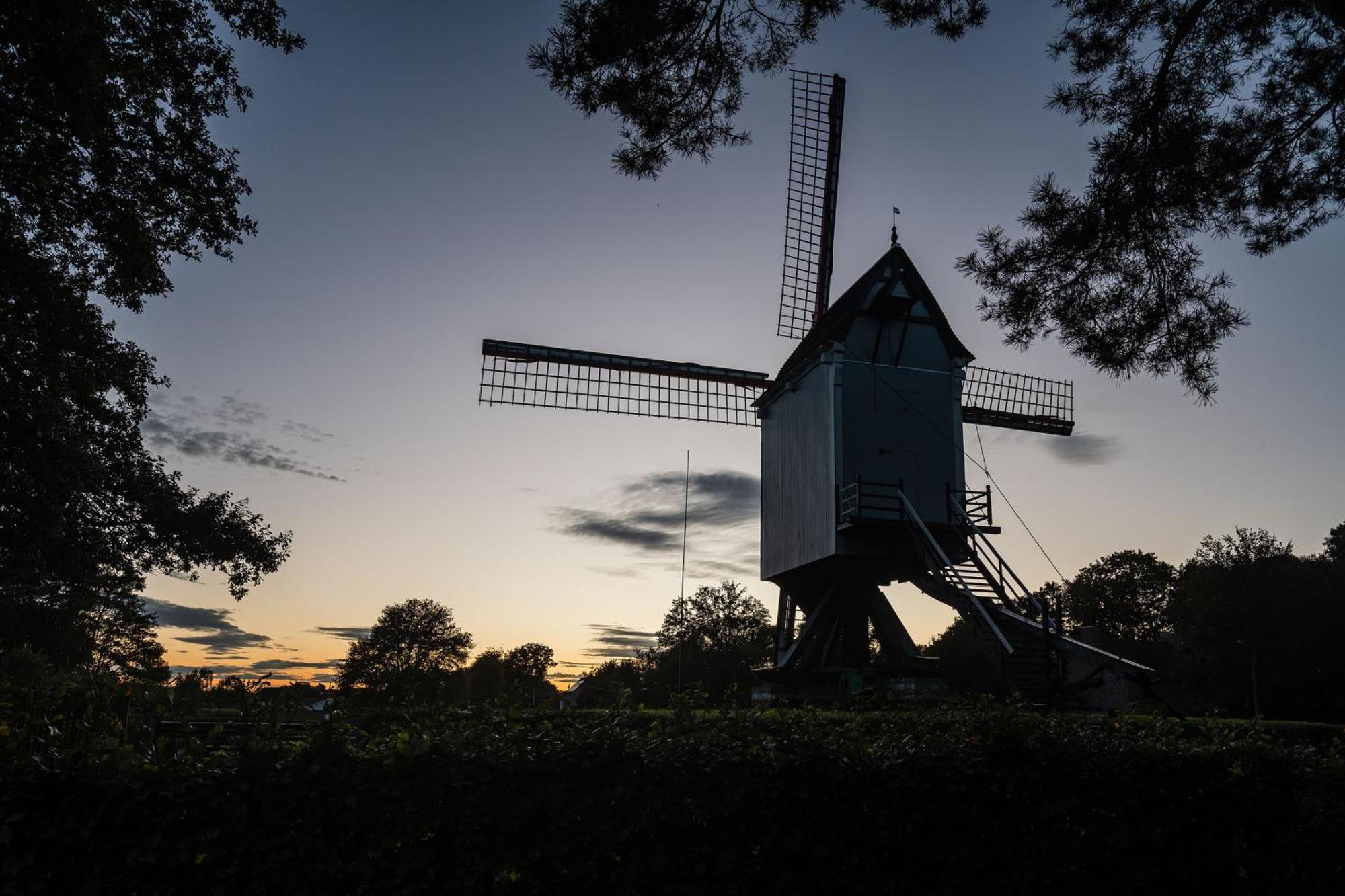 Beddermolen - Molenhuis Op Historisch Erfgoeddomein Westerlo Exterior foto